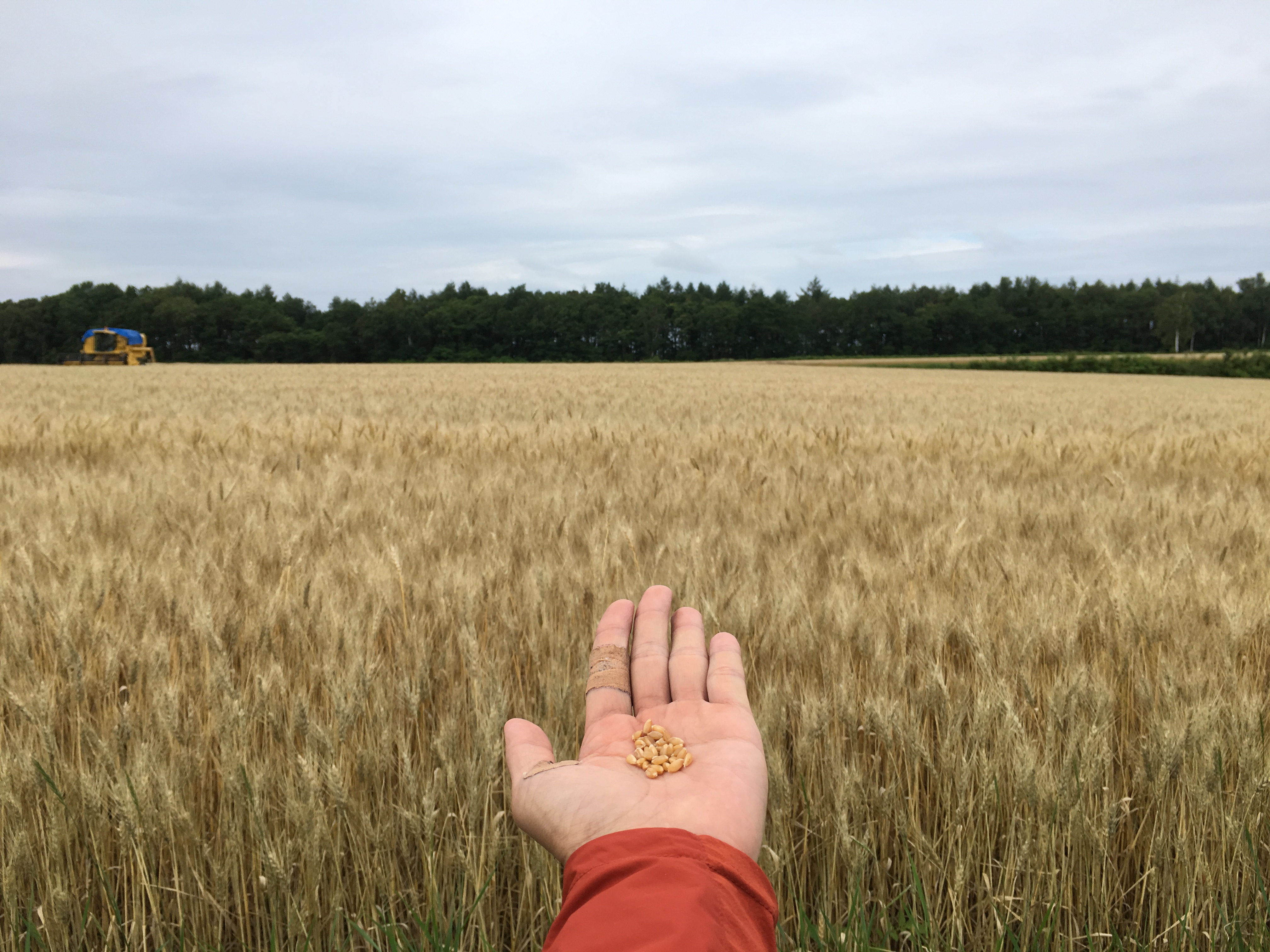 2017-08-11 15.17.28.jpg