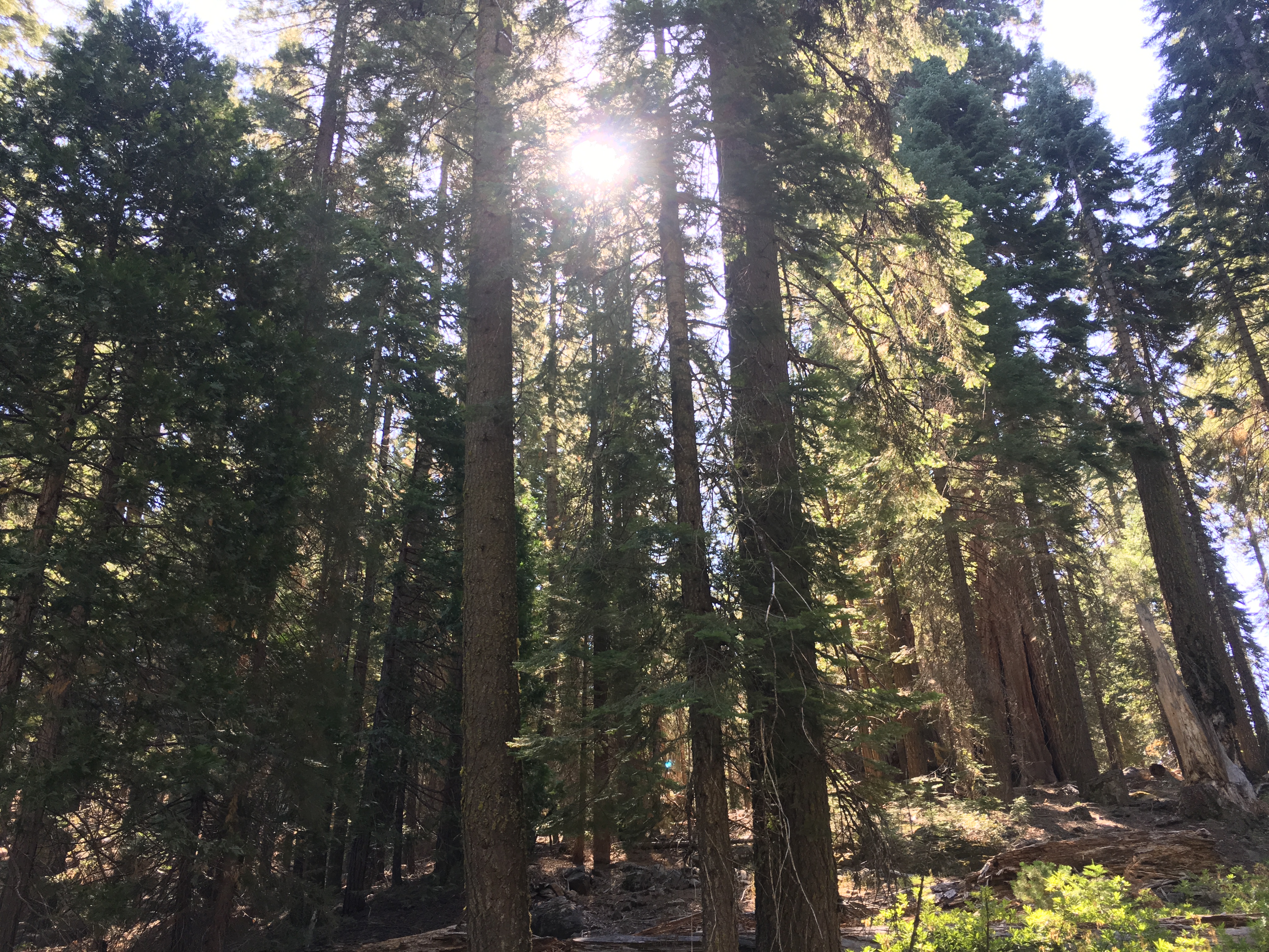 Hypocrisy of Conservation