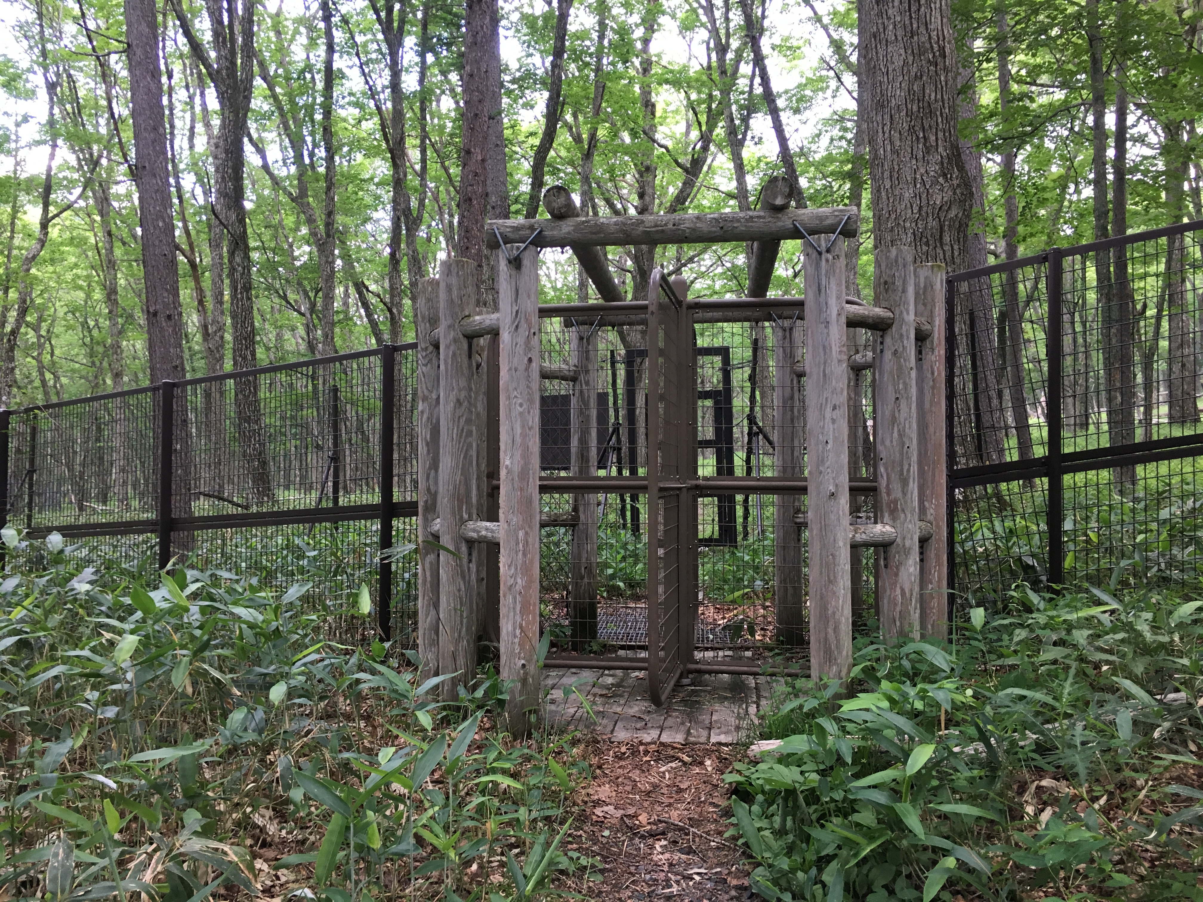 2017-07-19 13.51.12.jpg