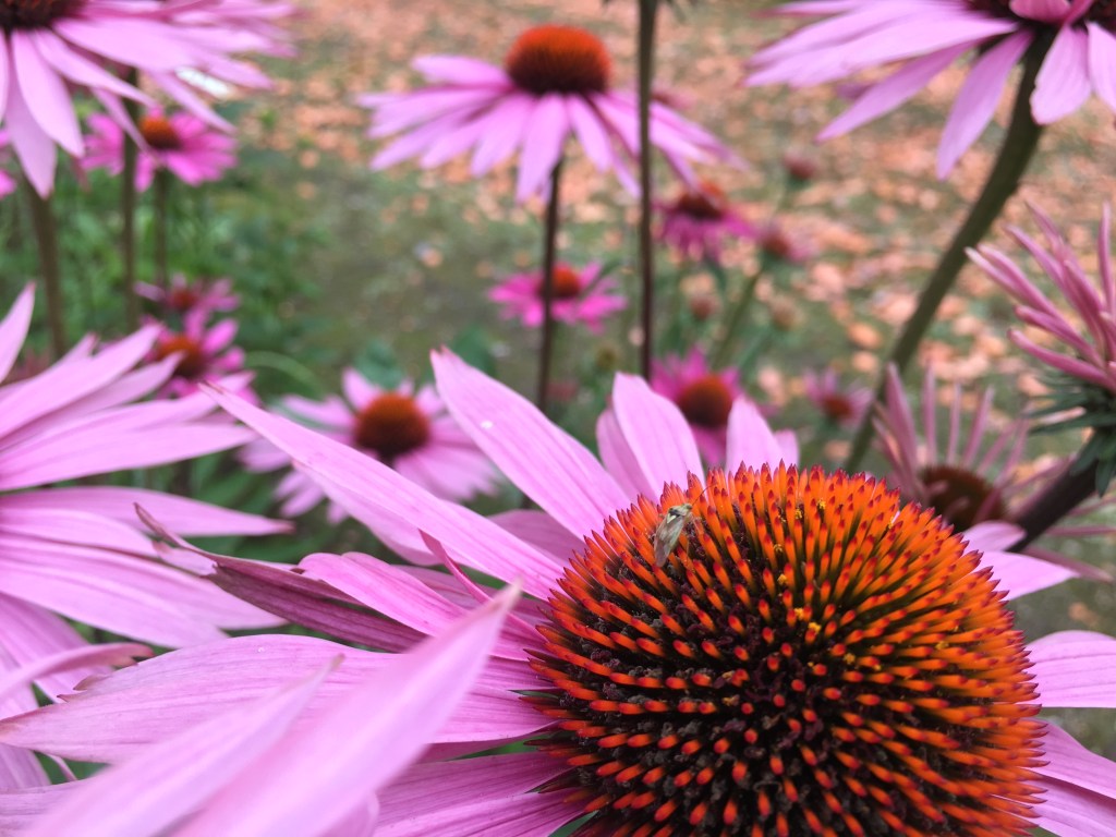 A Dark Vicious&nbsp;Cycle