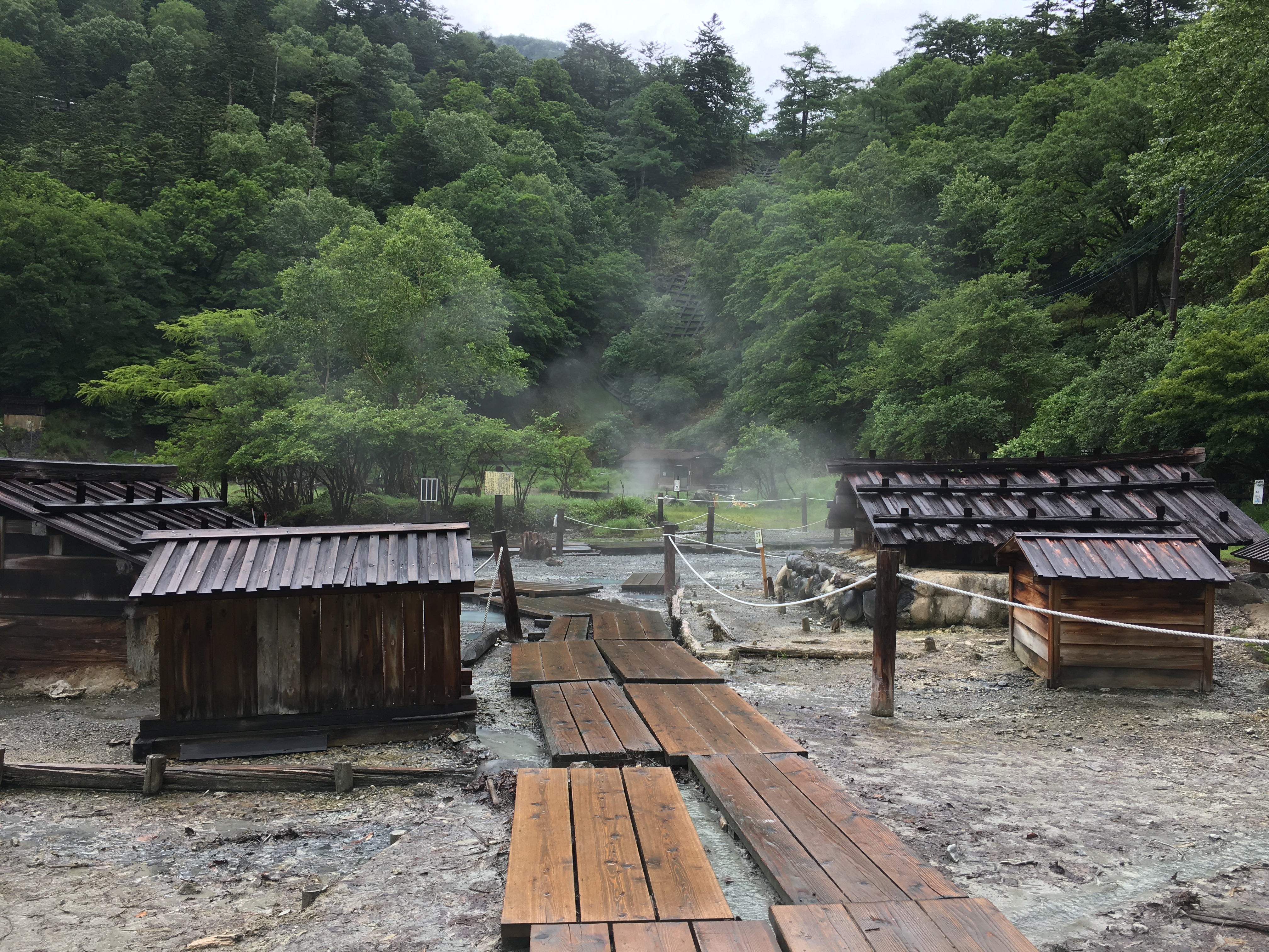 2017-07-18 14.24.12.jpg