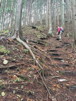 19749465_10155978343967565_710070174_o