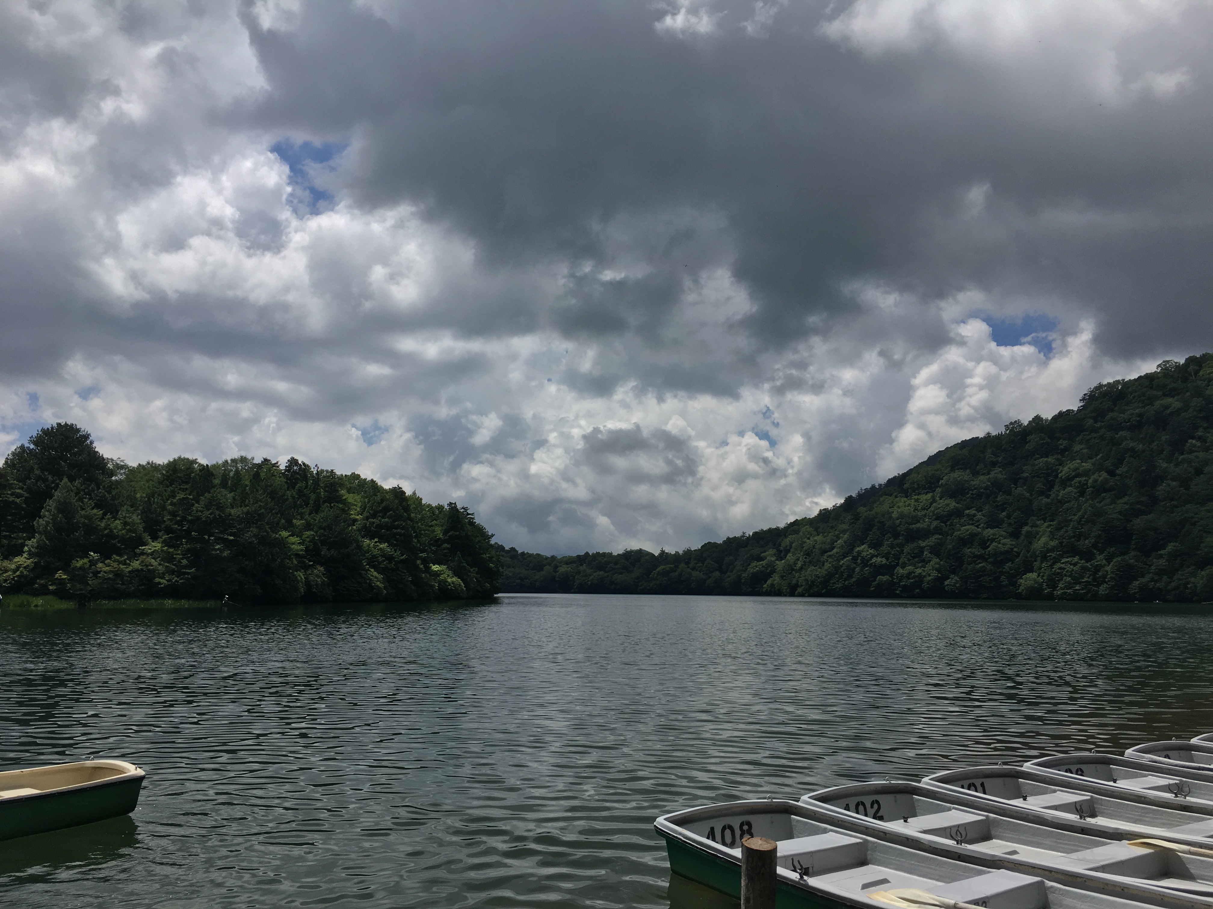 2017-07-19 10.31.20.jpg