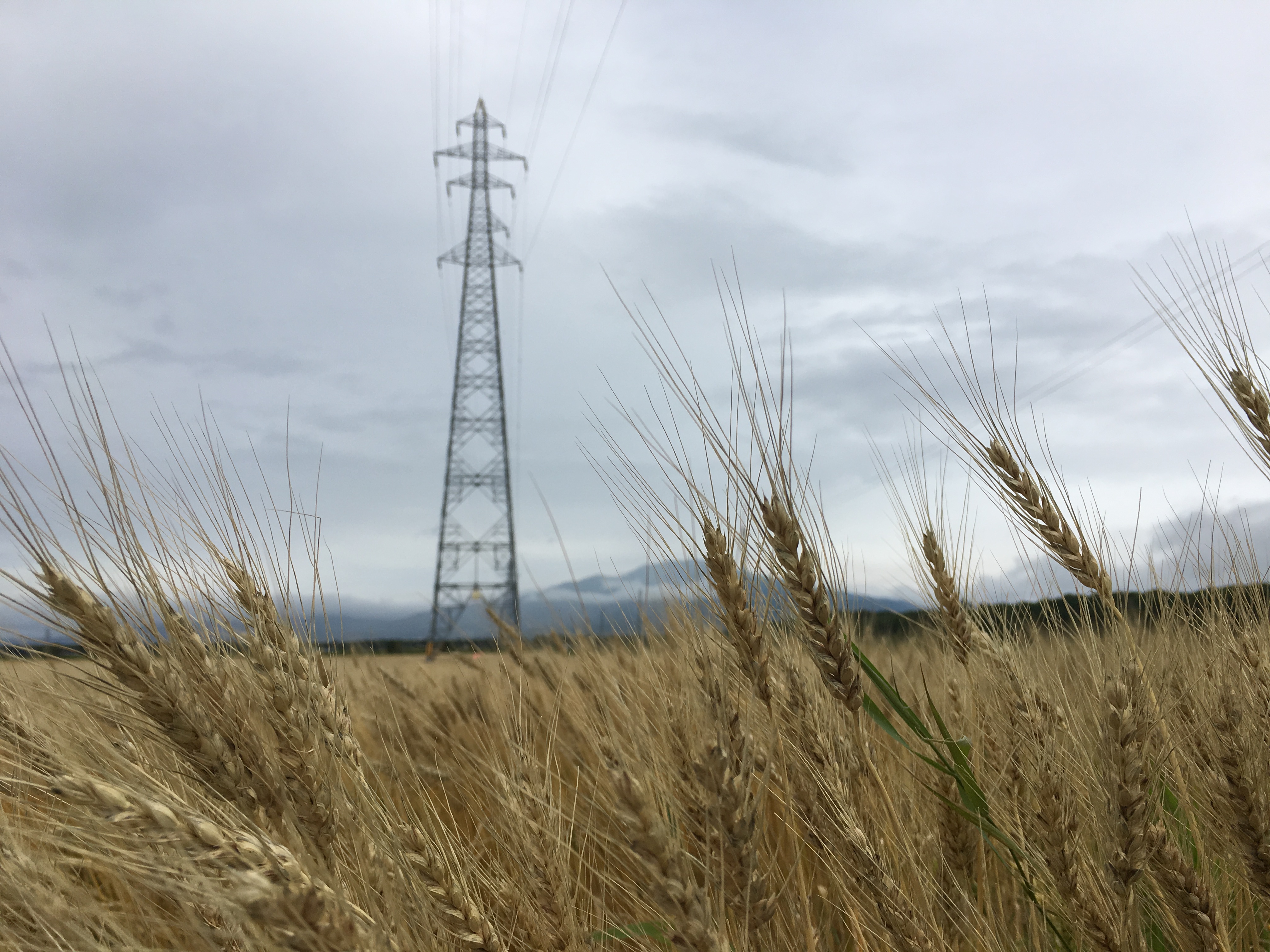 2017-08-11 13.53.12.jpg