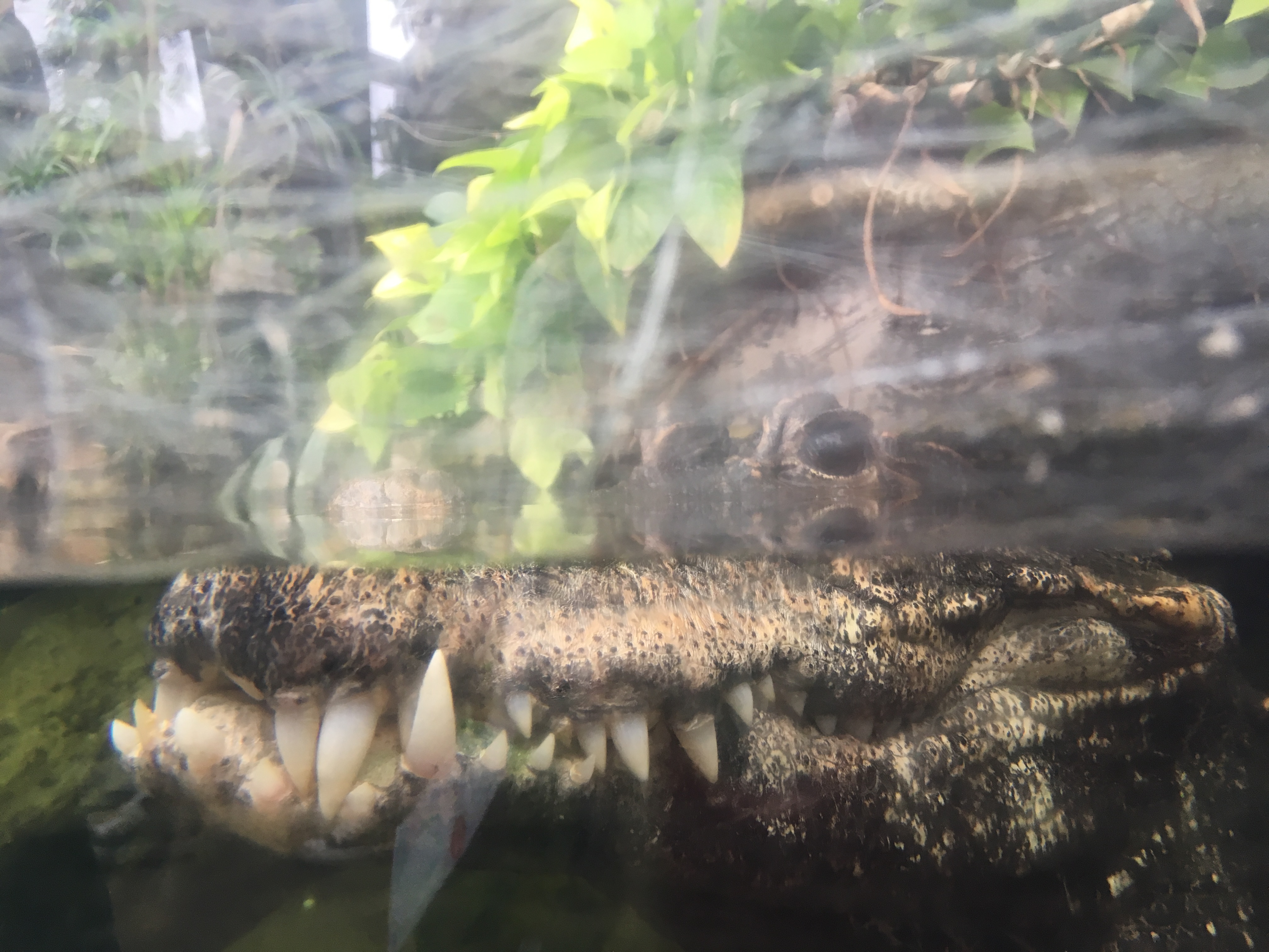 2017-07-30 15.29.24.jpg