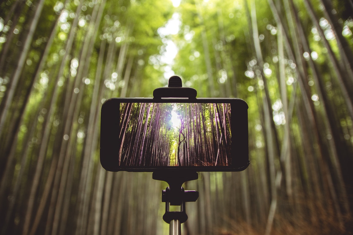 5 Reasons Why You Need A Selfie Stick