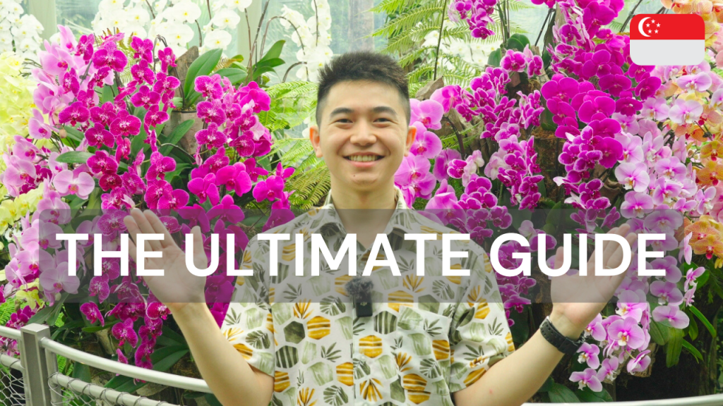 The Ultimate Guide to The Botanical Gardens in&nbsp;Singapore