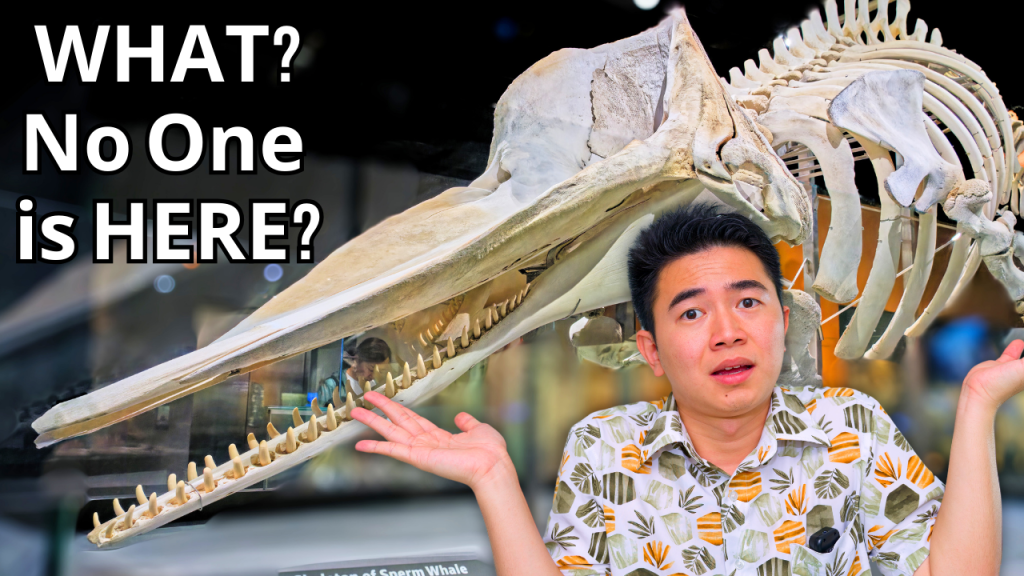 The COOLEST Museum in SG That NO ONE Goes&nbsp;To…