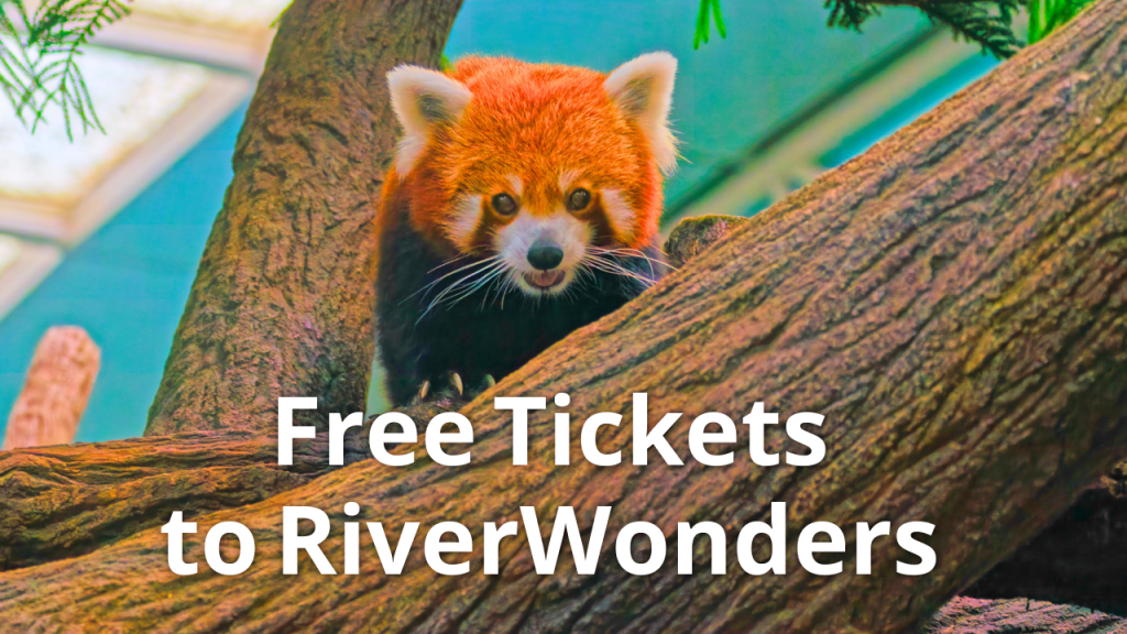 ENDED – WIN Tickets to RiverWonders&nbsp;Here!