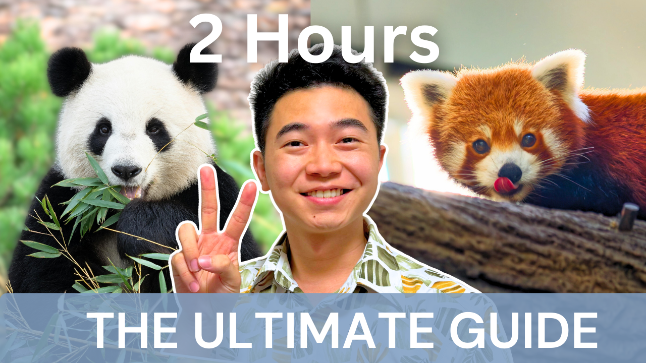 You Only Need 2 Hours in River Wonders, Here’s How: